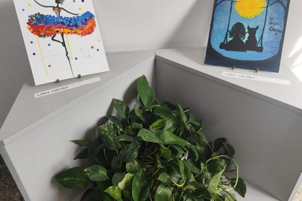 04911ac1-e527-4caa-8cfa-d601cf499a91