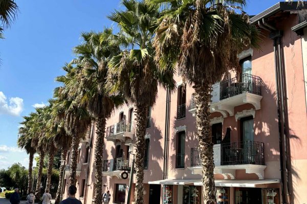 0ba3b382-880e-43ae-94ef-22175c2d740e