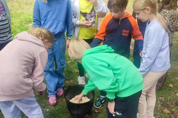 28f93cdc-50a0-4804-9af2-2a70f8d0b353 (2)