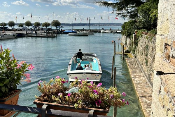 3223edb7-8dea-4f25-8f2f-53afdd60141f