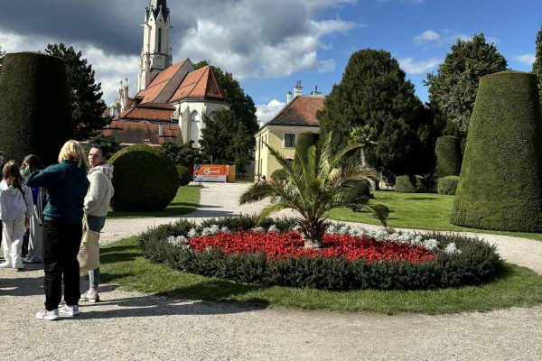 330ae8bc-8f8a-42ef-aa63-b81e5eb42134