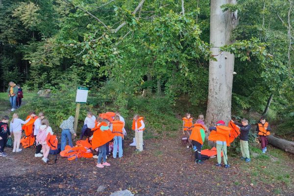 4267165c-ce01-4045-a2d3-194375d71635 (2)