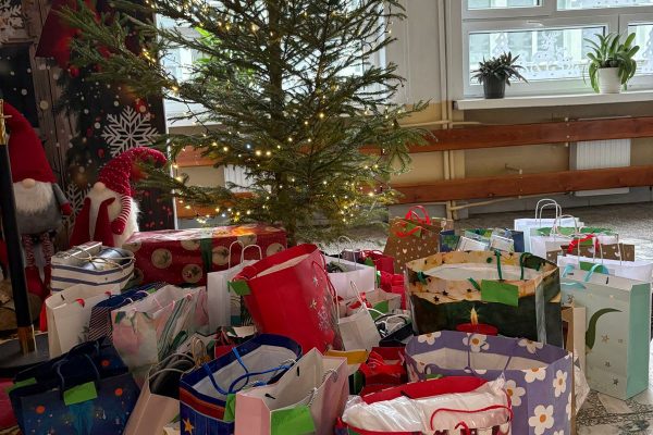 4998f15c-04be-439b-8e91-0bd2067196ca