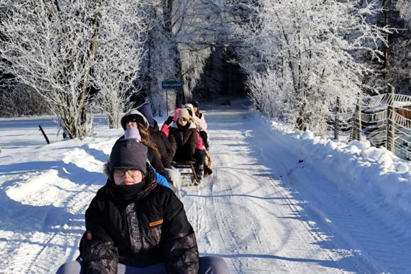 49dd201e-7472-483c-a534-713ccb6a53af