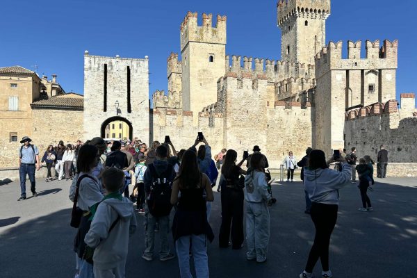 4eb8f587-27f5-4f65-ab47-28d2f4801ff4