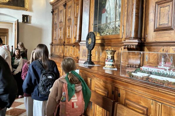 772d40d8-5aba-406b-9dfc-7a68dbc55f6a