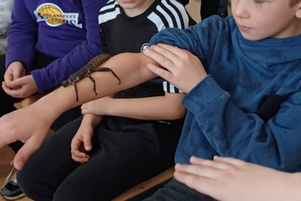 800d9e20-9de4-439f-bd6c-573672bba6ca