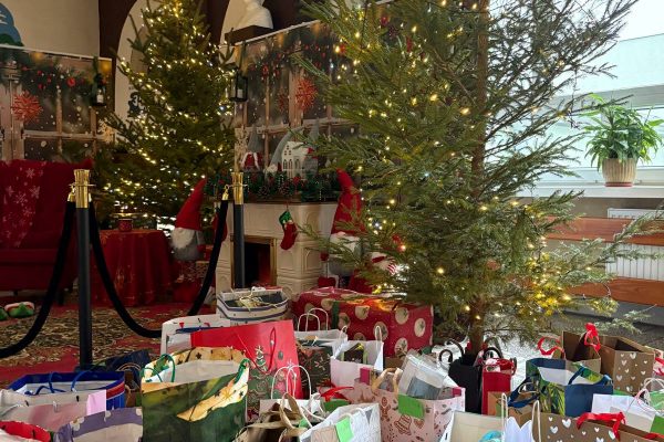 803b766c-2fc7-413d-8d12-f2eb7c83e496