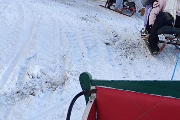 88a17ed8-d0d9-4ca3-acf2-e5536df9647c