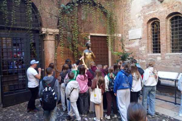 8dfa9b07-8c8a-4d0d-9436-00bca456d3ec