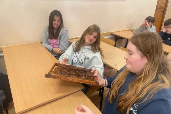 8e741f2b-644b-4073-8598-b943776e4a2e