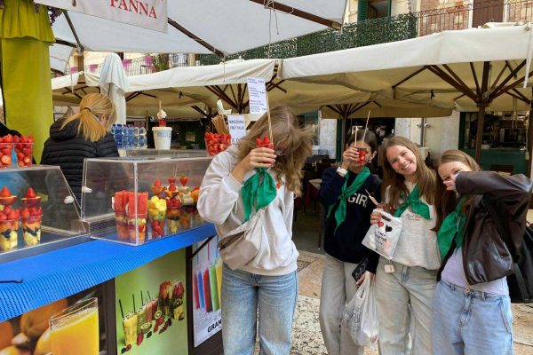 9ea9ab0c-d410-4fdb-ad92-93fabeedf3ab