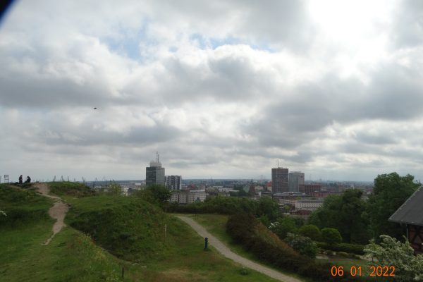 DSC09786