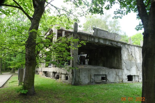 DSC09818
