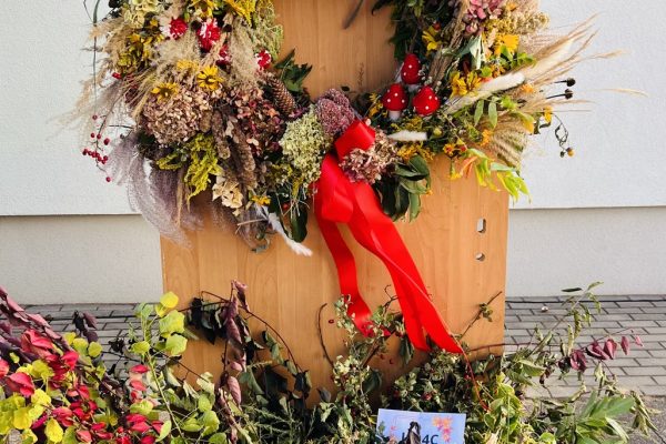 IMG_2070_Easy-Resize.com