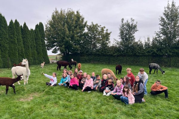 PHOTO_2025_09_23_19_35_21