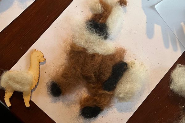 PHOTO_2025_09_23_19_36_54