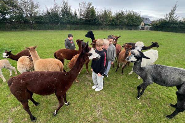 PHOTO_2025_09_23_19_38_09