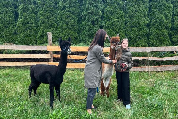 PHOTO_2025_09_23_19_39_02