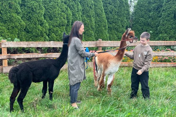 PHOTO_2025_09_23_19_39_39