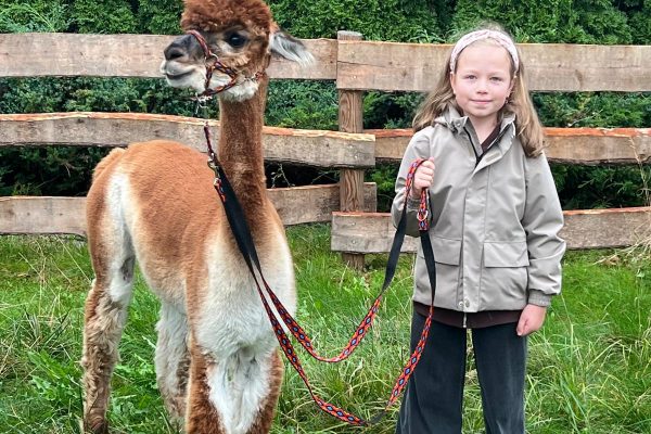 PHOTO_2025_09_23_19_40_18