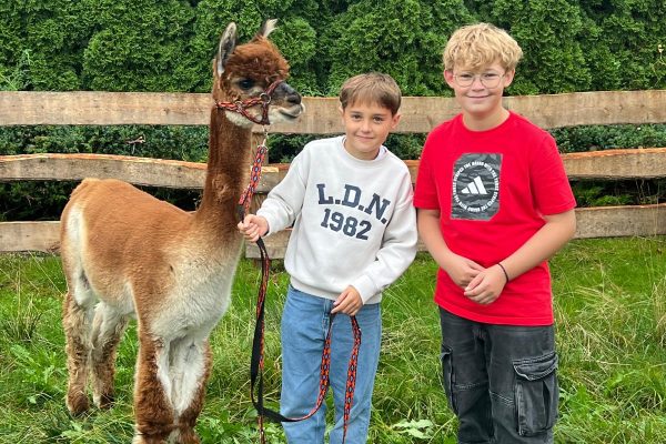 PHOTO_2025_09_23_19_40_55