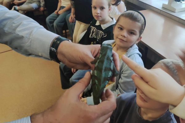 a0c998e1-9f77-44b7-b1c0-dc48af5663ab