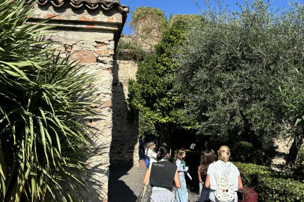 a7ae37e3-d908-4525-9d6b-f1a8bbeaf6b9