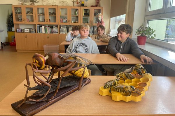 a9146a26-6918-4245-a966-944a6d0f17f5