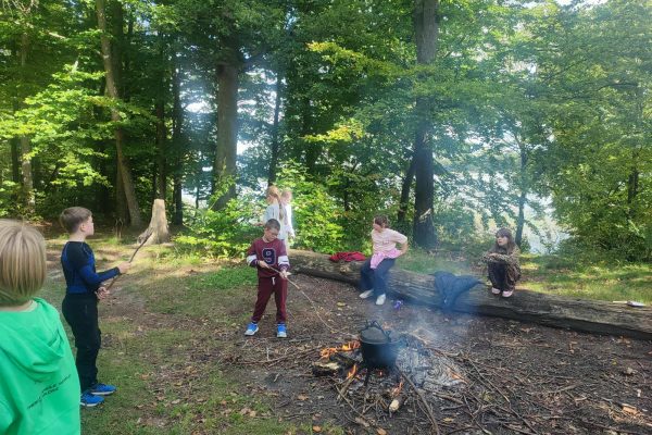 b49edc72-ad77-4ec9-a342-719913feb5f7 (2)