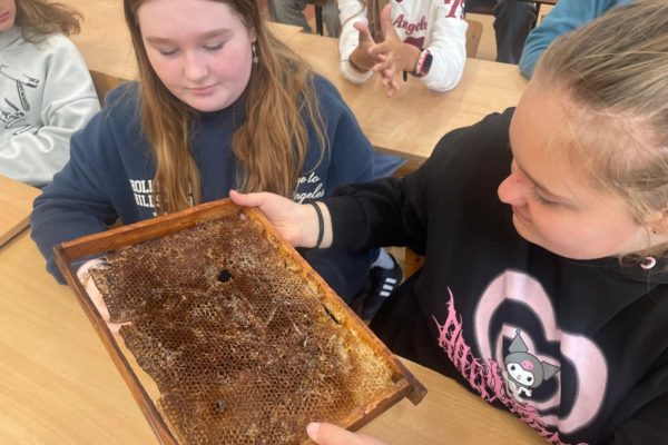 c726b937-ebf4-45c9-aac9-3a37a5a58477