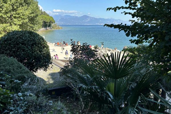 c8bb3219-c123-4f5c-89ed-daf26f8c8a22