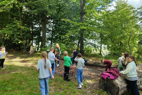 d2847f0a-1f7e-493f-9a81-6d7420a41dc7 (4)