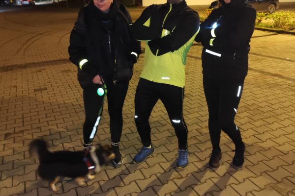 d3083d34-17c0-4134-b3bd-d5d2bb70211d