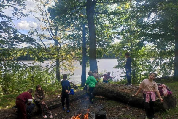 d7512203-b204-43c1-8ed5-f6c90cc541b0 (2)