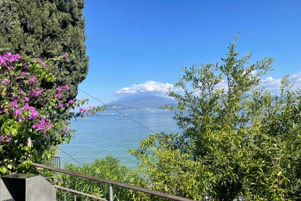 da521870-5f6d-43a7-8ae9-9238c57bb01f